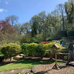 bushes and bird table in a garden