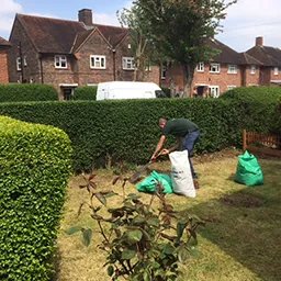 man working in a garden