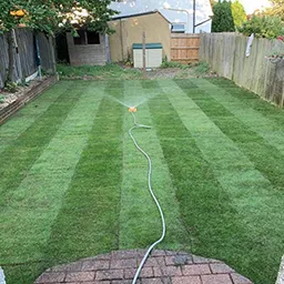 moved lawn