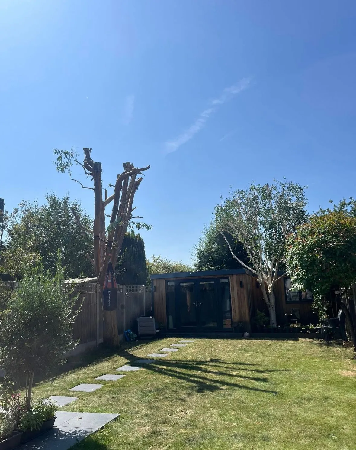 A yard with a tree in the middle of it.